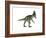 Cryolophosaurus Dinosaur-Stocktrek Images-Framed Art Print