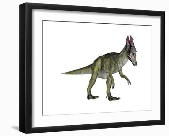 Cryolophosaurus Dinosaur-Stocktrek Images-Framed Art Print