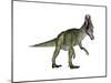 Cryolophosaurus Dinosaur-Stocktrek Images-Mounted Art Print