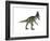 Cryolophosaurus Dinosaur-Stocktrek Images-Framed Art Print