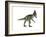 Cryolophosaurus Dinosaur-Stocktrek Images-Framed Art Print