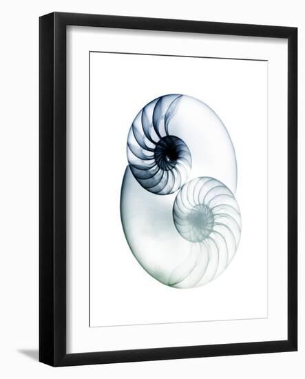 Crystal Breeze 2-Albert Koetsier-Framed Art Print