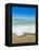 Crystal Clear Blue Sea at Surfers Paradise, Gold Coast, Queensland, Australia, Pacific-Matthew Williams-Ellis-Framed Premier Image Canvas