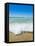 Crystal Clear Blue Sea at Surfers Paradise, Gold Coast, Queensland, Australia, Pacific-Matthew Williams-Ellis-Framed Premier Image Canvas