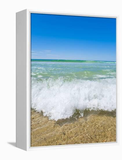 Crystal Clear Blue Sea at Surfers Paradise, Gold Coast, Queensland, Australia, Pacific-Matthew Williams-Ellis-Framed Premier Image Canvas