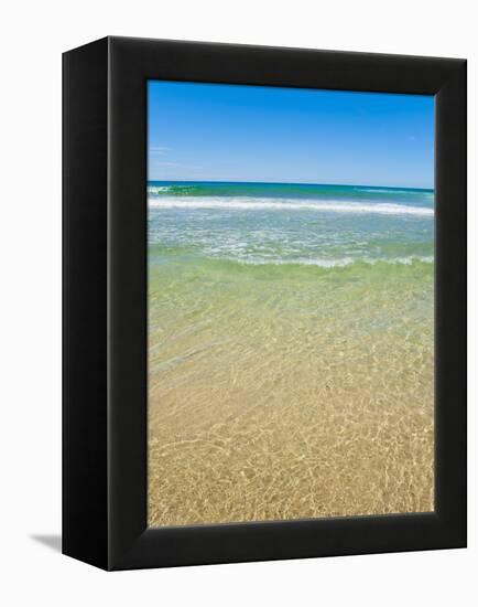 Crystal Clear Blue Sea at Surfers Paradise, Gold Coast, Queensland, Australia, Pacific-Matthew Williams-Ellis-Framed Premier Image Canvas