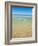 Crystal Clear Blue Sea at Surfers Paradise, Gold Coast, Queensland, Australia, Pacific-Matthew Williams-Ellis-Framed Photographic Print