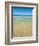 Crystal Clear Blue Sea at Surfers Paradise, Gold Coast, Queensland, Australia, Pacific-Matthew Williams-Ellis-Framed Photographic Print