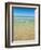 Crystal Clear Blue Sea at Surfers Paradise, Gold Coast, Queensland, Australia, Pacific-Matthew Williams-Ellis-Framed Photographic Print