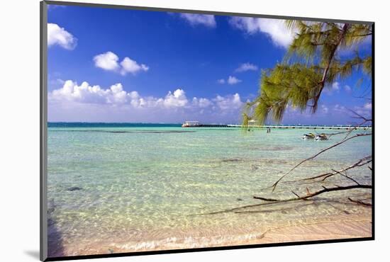 Crystal Clear Caribbean Waters Cayman Islands-George Oze-Mounted Photographic Print