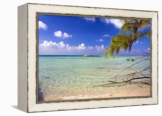 Crystal Clear Caribbean Waters Cayman Islands-George Oze-Framed Premier Image Canvas