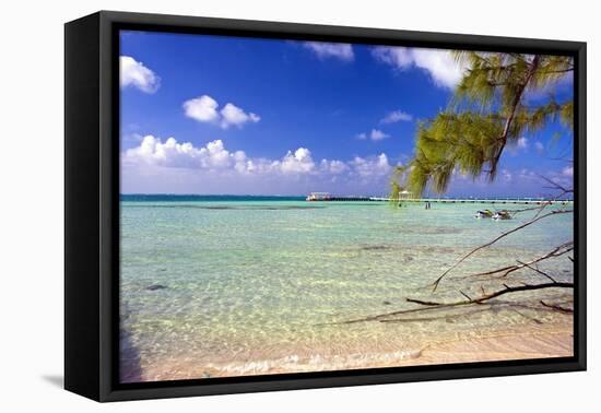 Crystal Clear Caribbean Waters Cayman Islands-George Oze-Framed Premier Image Canvas