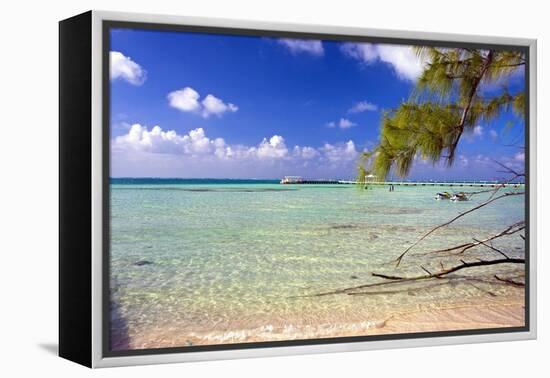 Crystal Clear Caribbean Waters Cayman Islands-George Oze-Framed Premier Image Canvas