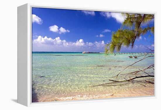 Crystal Clear Caribbean Waters Cayman Islands-George Oze-Framed Premier Image Canvas