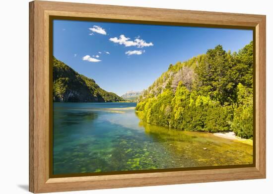 Crystal Clear Water in the Los Alerces National Park, Chubut, Patagonia, Argentina, South America-Michael Runkel-Framed Premier Image Canvas