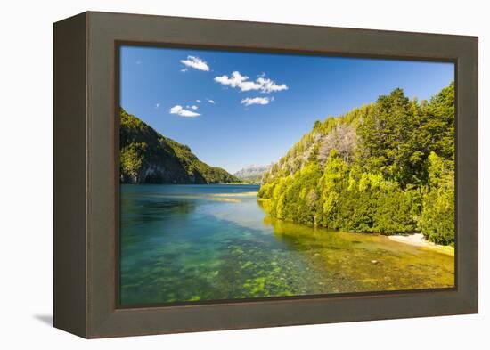 Crystal Clear Water in the Los Alerces National Park, Chubut, Patagonia, Argentina, South America-Michael Runkel-Framed Premier Image Canvas