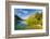 Crystal Clear Water in the Los Alerces National Park, Chubut, Patagonia, Argentina, South America-Michael Runkel-Framed Photographic Print