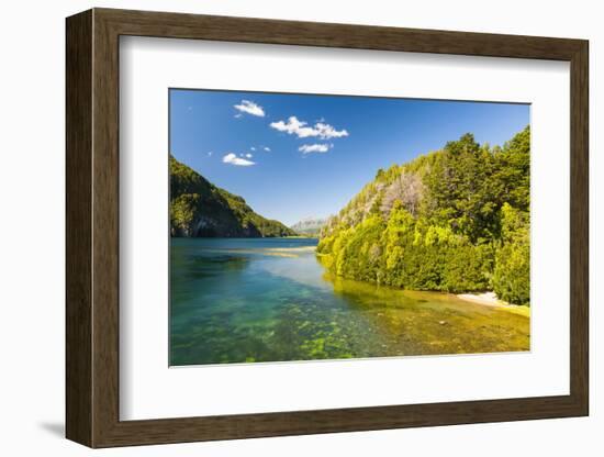 Crystal Clear Water in the Los Alerces National Park, Chubut, Patagonia, Argentina, South America-Michael Runkel-Framed Photographic Print