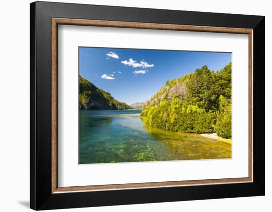 Crystal Clear Water in the Los Alerces National Park, Chubut, Patagonia, Argentina, South America-Michael Runkel-Framed Photographic Print