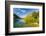 Crystal Clear Water in the Los Alerces National Park, Chubut, Patagonia, Argentina, South America-Michael Runkel-Framed Photographic Print