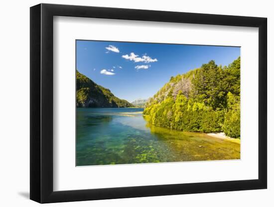 Crystal Clear Water in the Los Alerces National Park, Chubut, Patagonia, Argentina, South America-Michael Runkel-Framed Photographic Print