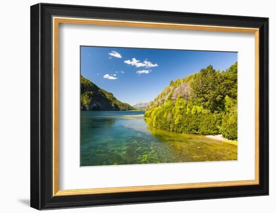 Crystal Clear Water in the Los Alerces National Park, Chubut, Patagonia, Argentina, South America-Michael Runkel-Framed Photographic Print