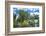 Crystal clear water in the Utwe lagoon, UNESCO Biosphere Reserve, Kosrae, Federated States of Micro-Michael Runkel-Framed Photographic Print