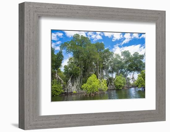 Crystal clear water in the Utwe lagoon, UNESCO Biosphere Reserve, Kosrae, Federated States of Micro-Michael Runkel-Framed Photographic Print