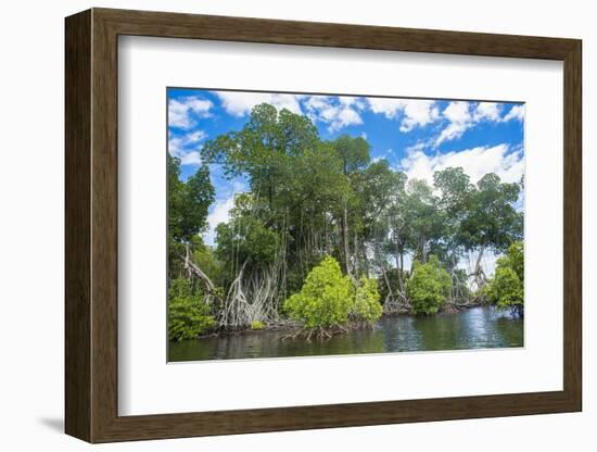 Crystal clear water in the Utwe lagoon, UNESCO Biosphere Reserve, Kosrae, Federated States of Micro-Michael Runkel-Framed Photographic Print