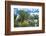 Crystal clear water in the Utwe lagoon, UNESCO Biosphere Reserve, Kosrae, Federated States of Micro-Michael Runkel-Framed Photographic Print