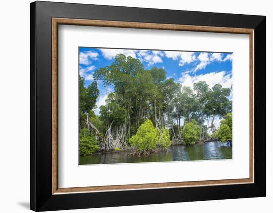 Crystal clear water in the Utwe lagoon, UNESCO Biosphere Reserve, Kosrae, Federated States of Micro-Michael Runkel-Framed Photographic Print