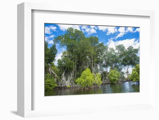 Crystal clear water in the Utwe lagoon, UNESCO Biosphere Reserve, Kosrae, Federated States of Micro-Michael Runkel-Framed Photographic Print