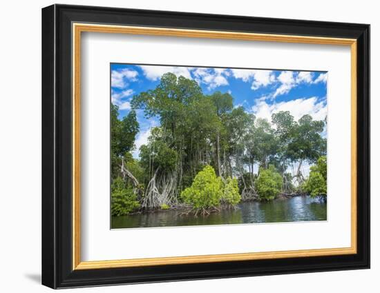 Crystal clear water in the Utwe lagoon, UNESCO Biosphere Reserve, Kosrae, Federated States of Micro-Michael Runkel-Framed Photographic Print