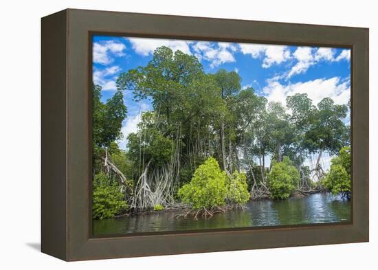 Crystal clear water in the Utwe lagoon, UNESCO Biosphere Reserve, Kosrae, Federated States of Micro-Michael Runkel-Framed Premier Image Canvas