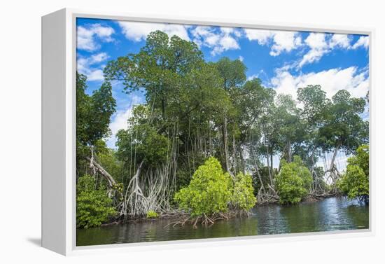 Crystal clear water in the Utwe lagoon, UNESCO Biosphere Reserve, Kosrae, Federated States of Micro-Michael Runkel-Framed Premier Image Canvas