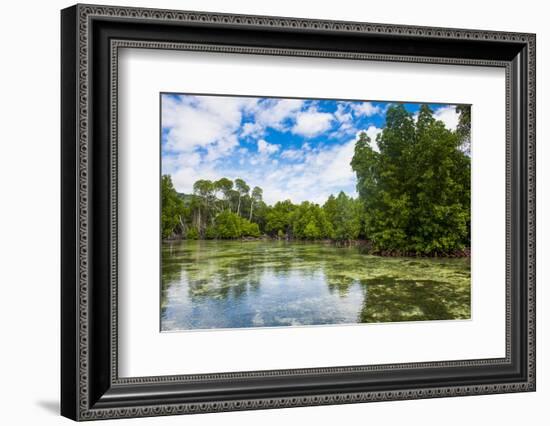 Crystal clear water in the Utwe lagoon, UNESCO Biosphere Reserve, Kosrae, Federated States of Micro-Michael Runkel-Framed Premium Photographic Print