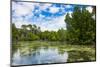 Crystal clear water in the Utwe lagoon, UNESCO Biosphere Reserve, Kosrae, Federated States of Micro-Michael Runkel-Mounted Photographic Print