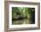 Crystal clear water in the Utwe lagoon, UNESCO Biosphere Reserve, Kosrae, Federated States of Micro-Michael Runkel-Framed Photographic Print