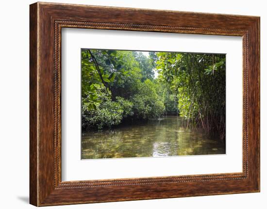 Crystal clear water in the Utwe lagoon, UNESCO Biosphere Reserve, Kosrae, Federated States of Micro-Michael Runkel-Framed Photographic Print