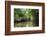 Crystal clear water in the Utwe lagoon, UNESCO Biosphere Reserve, Kosrae, Federated States of Micro-Michael Runkel-Framed Photographic Print