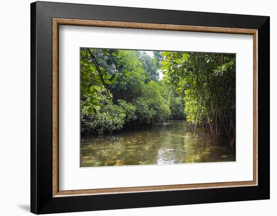 Crystal clear water in the Utwe lagoon, UNESCO Biosphere Reserve, Kosrae, Federated States of Micro-Michael Runkel-Framed Photographic Print