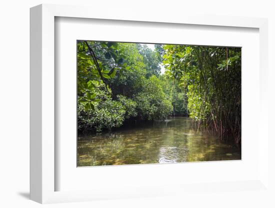 Crystal clear water in the Utwe lagoon, UNESCO Biosphere Reserve, Kosrae, Federated States of Micro-Michael Runkel-Framed Photographic Print