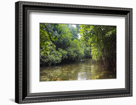 Crystal clear water in the Utwe lagoon, UNESCO Biosphere Reserve, Kosrae, Federated States of Micro-Michael Runkel-Framed Photographic Print