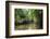 Crystal clear water in the Utwe lagoon, UNESCO Biosphere Reserve, Kosrae, Federated States of Micro-Michael Runkel-Framed Photographic Print