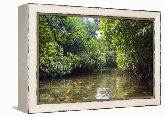 Crystal clear water in the Utwe lagoon, UNESCO Biosphere Reserve, Kosrae, Federated States of Micro-Michael Runkel-Framed Premier Image Canvas