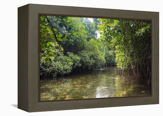 Crystal clear water in the Utwe lagoon, UNESCO Biosphere Reserve, Kosrae, Federated States of Micro-Michael Runkel-Framed Premier Image Canvas