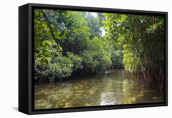 Crystal clear water in the Utwe lagoon, UNESCO Biosphere Reserve, Kosrae, Federated States of Micro-Michael Runkel-Framed Premier Image Canvas