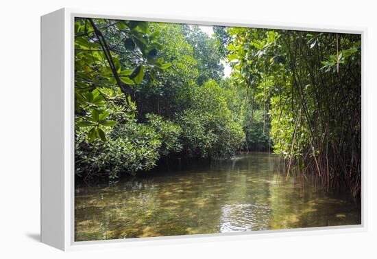 Crystal clear water in the Utwe lagoon, UNESCO Biosphere Reserve, Kosrae, Federated States of Micro-Michael Runkel-Framed Premier Image Canvas