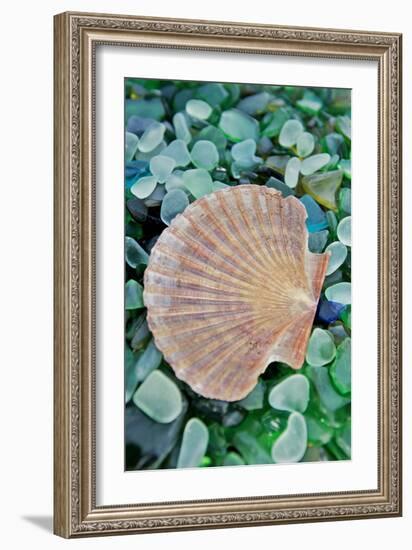 Crystal Cove #25-Alan Blaustein-Framed Photographic Print