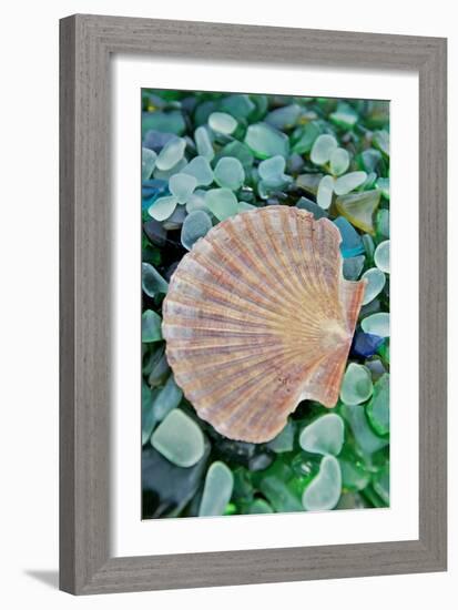 Crystal Cove #25-Alan Blaustein-Framed Photographic Print